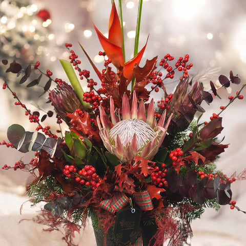 Nordic Winter Protea