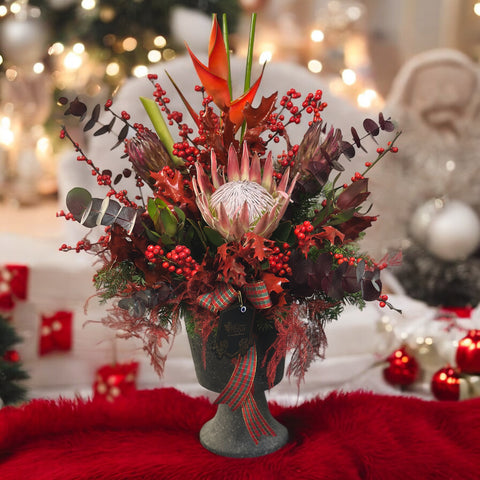 Nordic Winter Protea