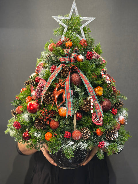 Nordic Star Tree – Yeni Yılın En Işıltılı Ağacı