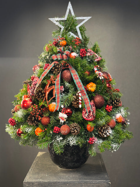 Nordic Star Tree – Yeni Yılın En Işıltılı Ağacı