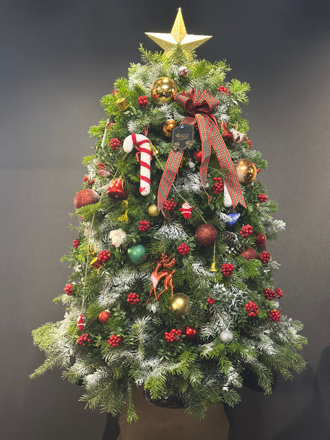 Northern Star Premium Tree – Yeni Yıl Işığının En Gösterişli Hali