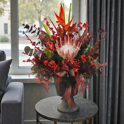 Nordic Winter Protea