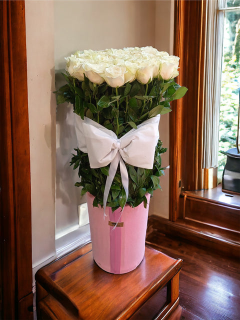 50 White Roses Pink in a Giant Box