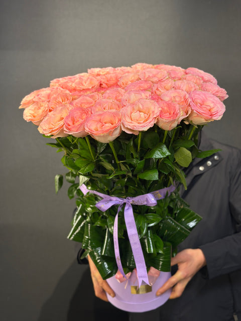 Blush Elixir – Esperance Roses’un Zarif İmzası