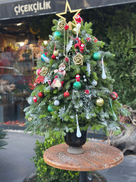 Yeni Yıl/ Yılbaşı