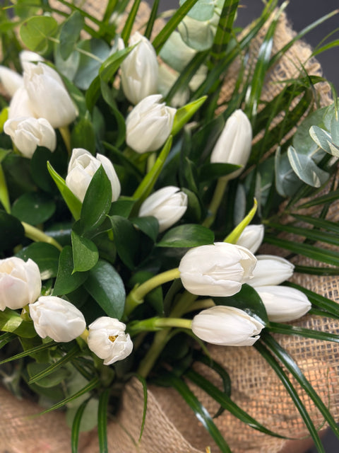 White Tulips Beyaz Lale