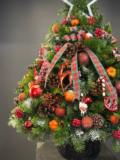 Nordic Star Tree – Yeni Yılın En Işıltılı Ağacı