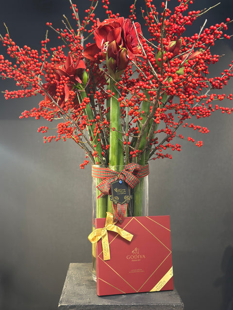 Imperial Amaryllis Ilex – Kırmızının En Asil Hali