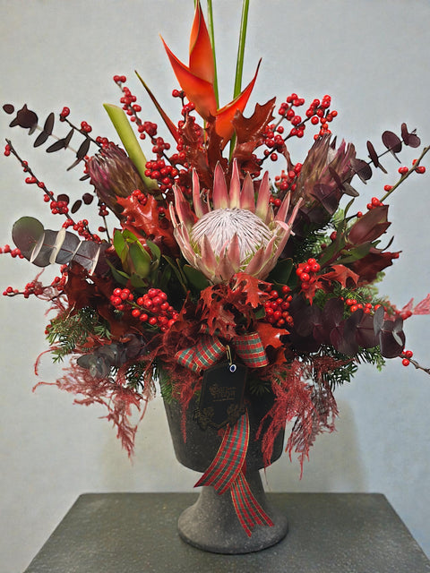 Nordic Winter Protea