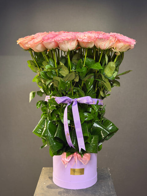 Blush Elixir – Esperance Roses’un Zarif İmzası