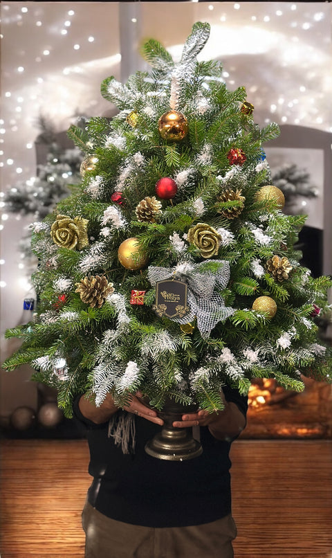 Golden Frost Tree – Premium Yeni Yıl Ağacı