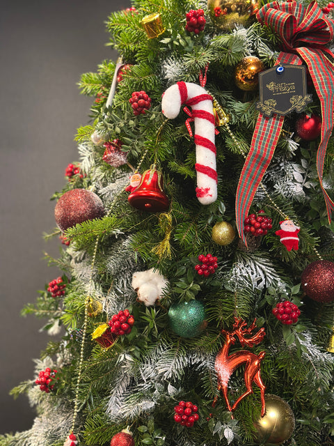 Northern Star Premium Tree – Yeni Yıl Işığının En Gösterişli Hali