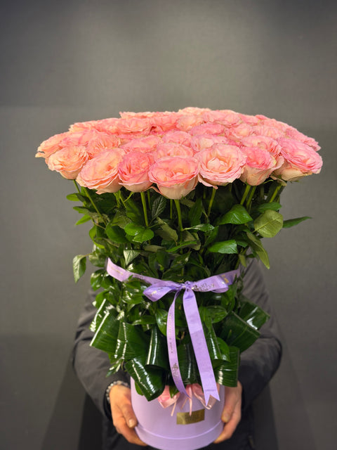 Blush Elixir – Esperance Roses’un Zarif İmzası