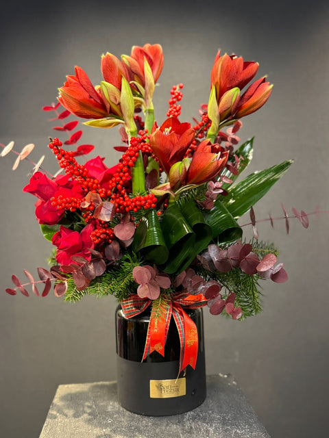 Scarlet Amaryllis – Gücün ve Zarafetin Kırmızı Yorumu