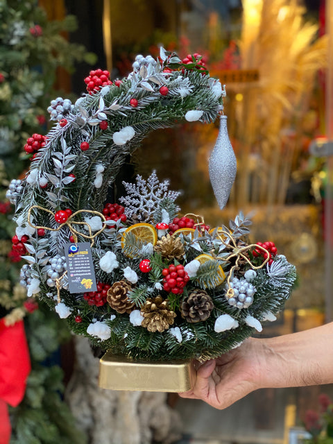 Winter Crescent – Kışın Işıltılı Hilali