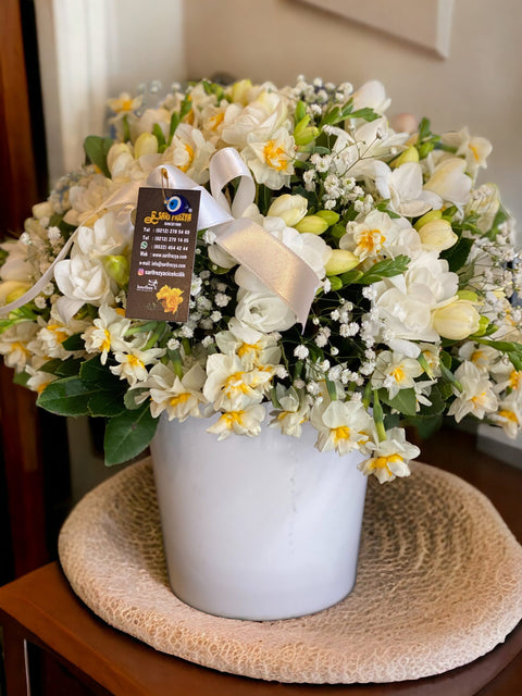 Daffodil and Freesia Arrangement