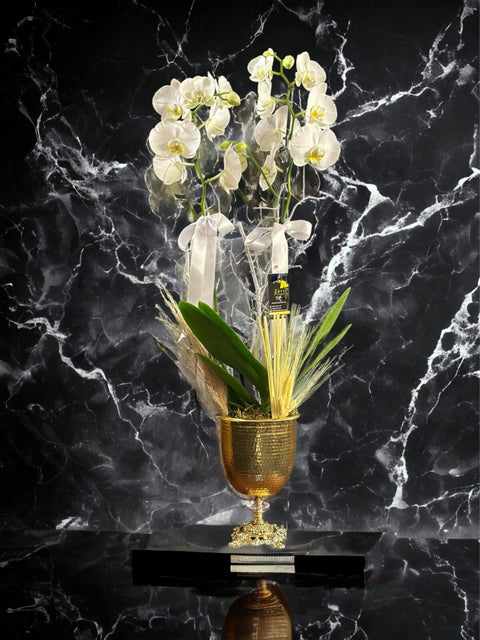 White Orchid in Retro Goblet