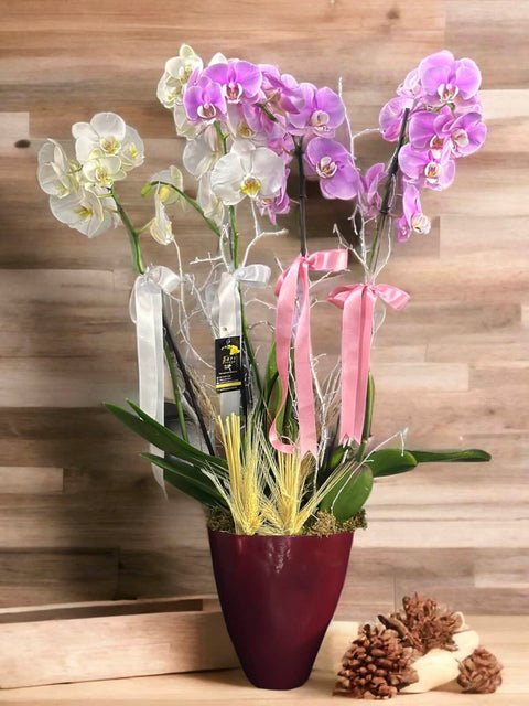 Pink White 4 branches Orchid in Glass Vase