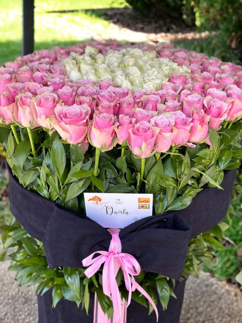 125 roses in Pink White Black Giant Box