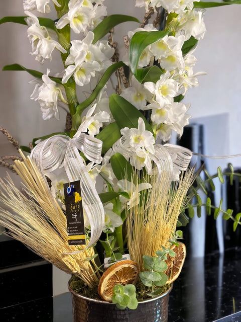 Dendrobium Orchid in White Retro Vase