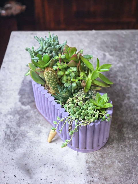 Sculent Arrangement in a Standing Ceramic Pot