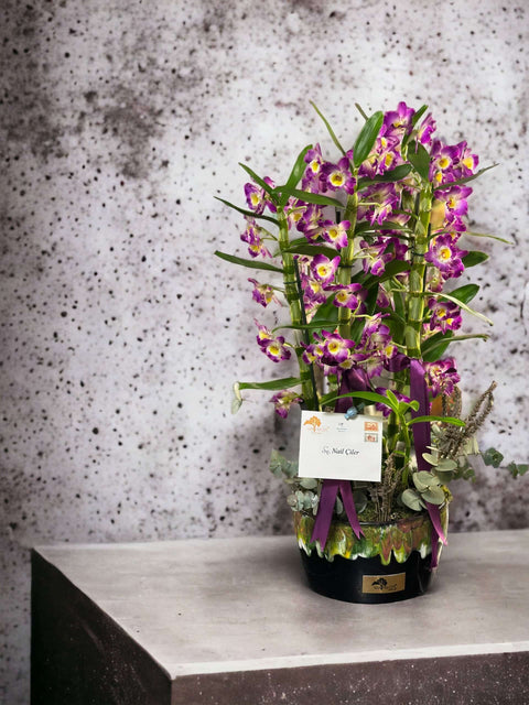 4 Dendrobium Orchids in a Special Vase