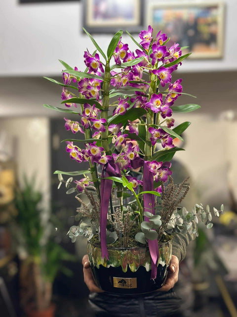 4 Dendrobium Orchids in a Special Vase