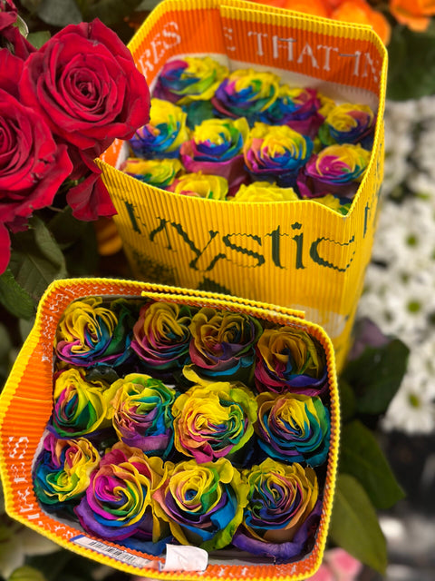 25 Rainbow Vip Special roses