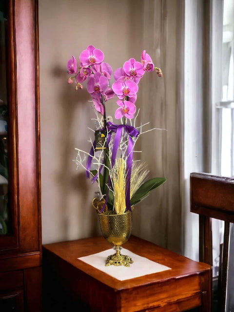 Pink Orchid in Retro Goblet