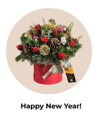 Yeni Yıl/ Yılbaşı